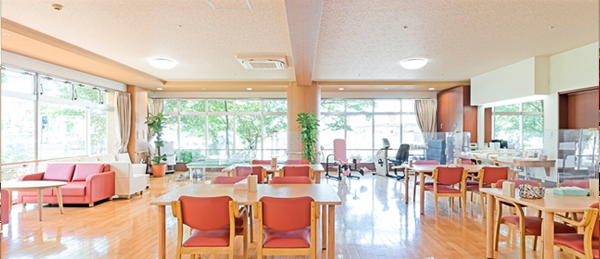 名画DVDレンタル事業